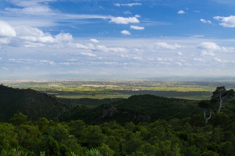 Cruz de Montepicayo (GR-10) con perro en Valencia