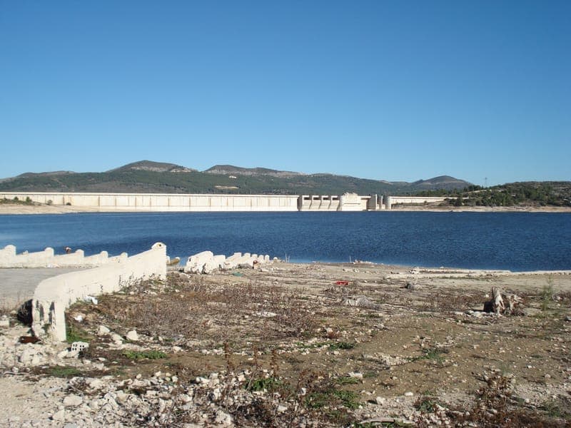 Embalse de Bellús con perro en Valencia
