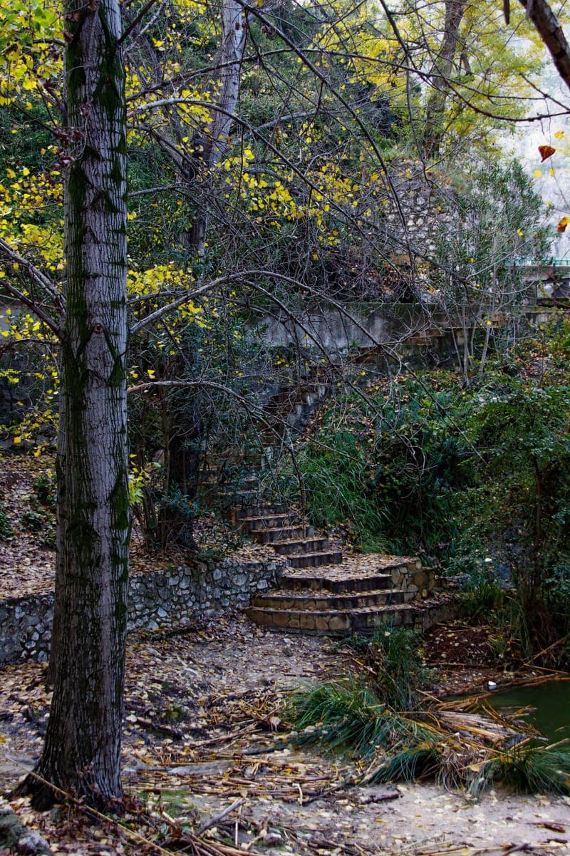 Ontinyent – Senda dels Enginyers con perro en Valencia