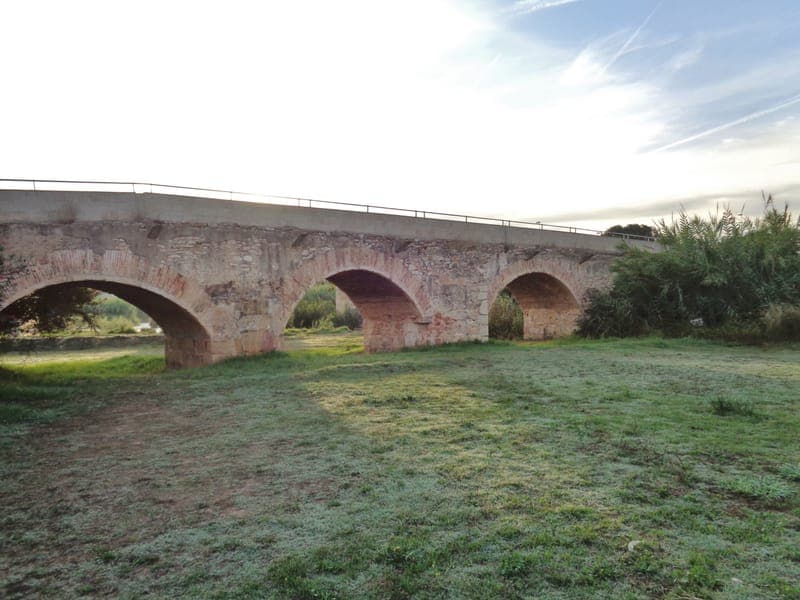 Parque Fluvial del Turia – Masía de Traver con perro en Valencia