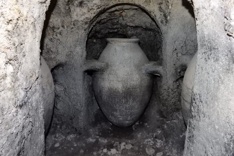Ruta de les Caves (Requena) con perro en Valencia