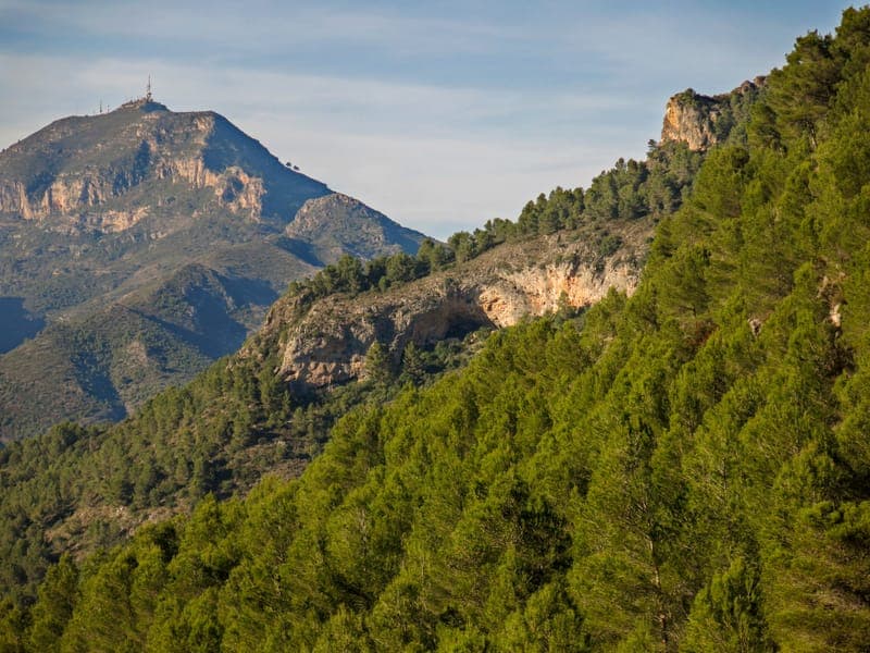 Senda del Portalet (Gandía) con perro en Valencia